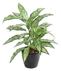 Plante artificielle Aglaonema en piquet -plante d'intrieur - H.80cm vert