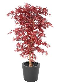 Plante artificielle Aralia New - rable synthtique pour intrieur - H.160cm rouge