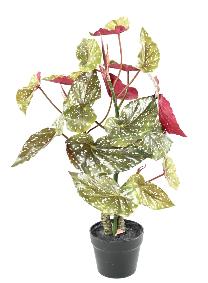 Plante artificielle Begonia maculata - dcoration d'intrieur - H.70cm vert rouge