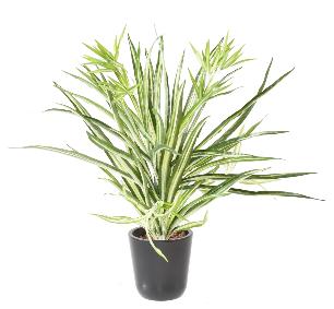Plante artificielle Chlorophytum en piquet - dco d'intrieur - H.65cm vert blanc