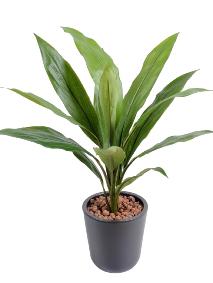 Plante artificielle Dracaena Cordyline en piquet - intrieur - H.60cm vert