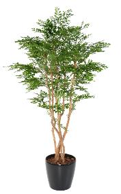 Arbre artificiel Acacia 5 troncs - plante d'intrieur - H.180cm vert