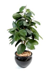 Arbre artificiel Ficus elastica - plante synthtique - H.110cm