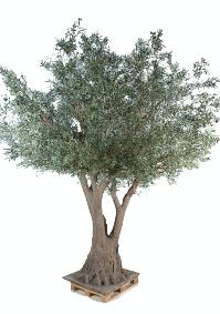 Arbre artificiel Olivier New Tree - plante pour intrieur - H.430cm