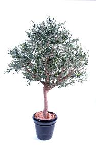 Arbre fruitier artificiel Olivier tte large et olives - plante pour intrieur - H.170cm