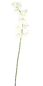 Orchide artificielle Phalaenopsis 10 fleurs - cration bouquet - H.160 cm blanc