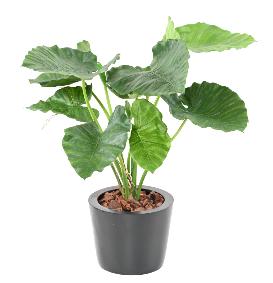 Plante artificielle Alocasia Calidora - plante verte d'intrieur - H.65cm