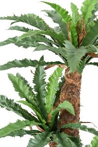 Plante artificielle Asplenium Dakila - décoration d'intérieur - H.130cm