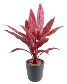 Plante artificielle Dracaena Cordyline en piquet - intrieur - H.60cm rouge