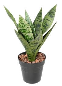 Plante artificielle Sansevieria piquet - succulente pour intrieur - H.35cm vert clair