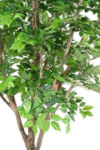 Arbre artificiel Forestier Charme - plante d'intérieur - H.280cm vert
