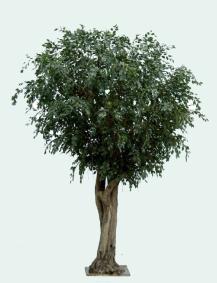Arbre artificiel Ficus gant Tree - plante synthtique intrieur - H.350cm