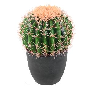 Cactus artificiel Echino - plante synthtique d'intrieur - H.27cm vert