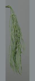 Feuillage artificiel chute de succulente - plante retombante d'intrieur - H.62cm