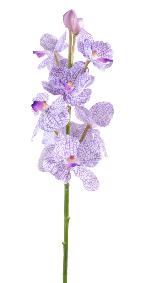 Fleur artificielle Orchide Vanda feuillage enduit - Fresh Touch - H.60cm violet blanc