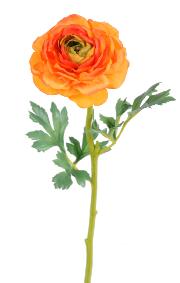 Fleur artificielle Renoncule en tissu - cration de bouquet - H.58cm orange