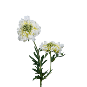 Fleur artificielle tige de Scabiosa - composition florale - H.55cm crme