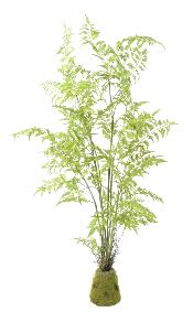 Fougre artificielle socle mousse - plante d'intrieur - H.170cm vert