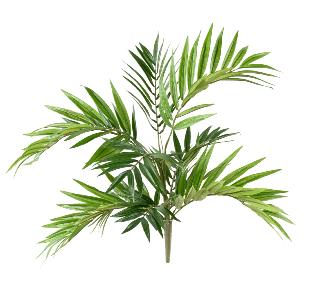 Palmier artificiel Chamaeodorea 196 feuilles en piquet - intrieur - H.50cm