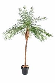 Palmier artificiel Phoenix New - plante d'intrieur - H.190cm vert