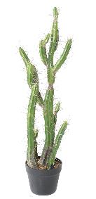 Plante artificielle Cactus Finger F - Plante pour intrieur - H.85cm vert