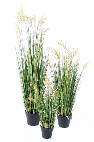 Plante artificielle Papyrus Scirpus Validus fleuri en pot - intrieur - H.60cm