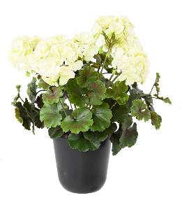 Plante artificielle fleurie Granium UV 6 ttes - intrieur extrieur - H.35cm blanc