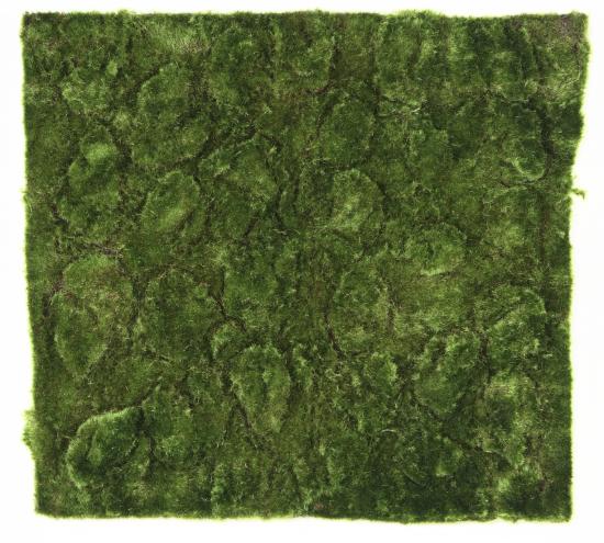 Plaque Mousse New artificielle - panneau végétal - L.50x50cm vert