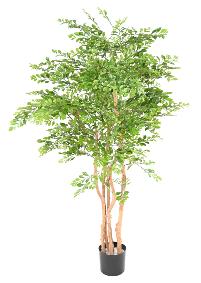 Arbre artificiel Acacia 5 troncs - plante d'intrieur - H.150cm vert