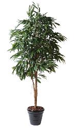 Arbre artificiel Ficus Alii royal - plante semi-naturelle intrieur - H.250cm