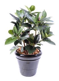 Arbre artificiel Ficus elastica buisson - plante synthtique - H.90cm vert