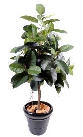 Arbre artificiel Ficus elastica - plante synthtique - H.180cm