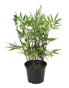 Bambou artificiel arbuste cannes noires - plante en pot d'intrieur - H.60cm vert