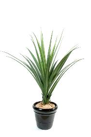 Plante artificielle tropicale Pandanus - dcoration pour intrieur - H.140cm