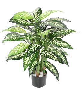 Plante verte artificielle Dieffenbachia - décoration d'intérieur - H.80cm