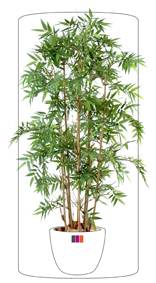 Bambou artificiel feuillage Oriental - intrieur - H.140cm vert