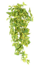 Feuillage artificiel chute de Coleus en piquet - plante verte intrieur - H.75cm