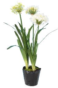 Fleur artificielle Agapanthe en motte - plante d'intrieur - H.90cm blanc