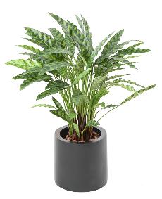 Plante artificielle Calathea en pot - dcoration d'intrieur - H.84cm vert