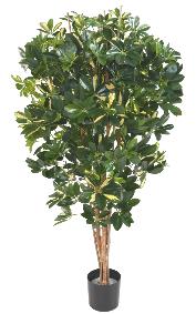 Plante verte artificielle Schefflera - dcoration d'intrieur - H.150cm panach