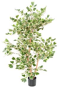 Arbre artificiel Ficus Triangularis - plante d'intérieur - H.120cm vert/crème
