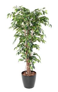 Arbre artificiel Ficus lianes grandes feuilles - plante d'intérieur - H.210cm vert