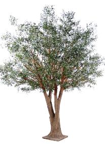 Arbre artificiel Olivier New Tree - plante pour intrieur - H.350cm