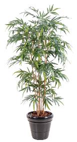 Bambou artificiel New 6 cannes naturelles - intrieur - H.150cm vert