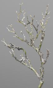 Branche artificielle bois avec mousse et lichen - dcoration d'intrieur - H.30cm