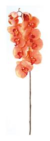 Fleur artificielle Orchide phalaenopsis - fleur  tige - H.103 cm orange