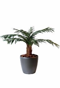 Palmier artificiel Cycas Palm - plante intérieur - H.80cm vert