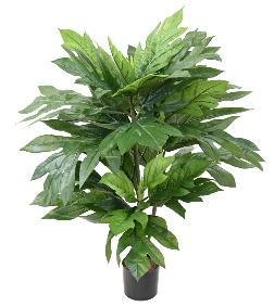 Plante artificielle Artocarpus Altilis - arbre  pain pour intrieur - H.100cm