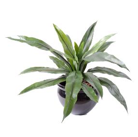 Plante artificielle Asplenium 15 feuilles -plante d'intrieur - H.40cm vert