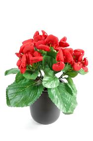 Plante artificielle fleurie Calcolaire - Plante synthtique - H.30 cm rouge